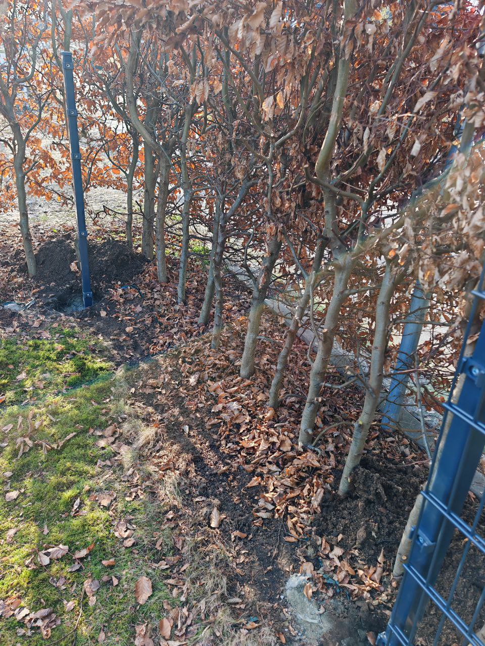 Trimaster optimale Prozesse